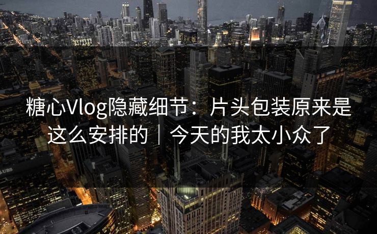 糖心Vlog隐藏细节:片头包装原来是这么安排的|今天的我太小众了